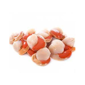 ostinconcoral